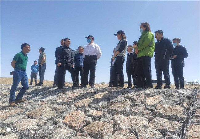 1592980736111813.jpg mtxx02.jpg